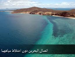 موضوعات علمية من الخطب الموضوع 049 البرزخ بين البحريان والحجر المحجور موسوعة النابلسي للعلوم الإسلامية