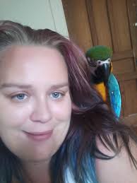 Parrot crying in tree near eagle