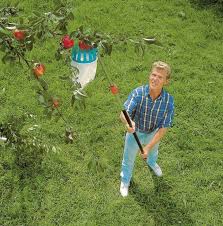 76 Accessoires Malins Originaux Pour Le Jardin Jardins Cueille Fruit Entretien Du Jardin