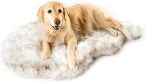 Check spelling or type a new query. The 14 Best Dog Beds Of 2021 According To Experts