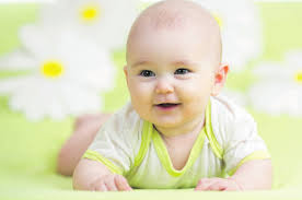 HappyBaby Zams HappyBaby Zams