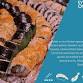 Wed Asian Sushi Buffet Dinner & Live Music event in Grand Baie