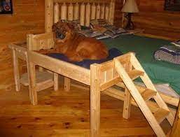 Elevated Dog Bed With Stairs Hunde Bett Hundebett Hunde