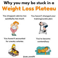 Pin On Weight Loss