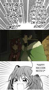 Happy Racoon Noises Shieldbro
