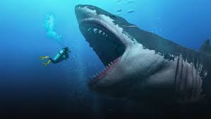 Megalodon Hakkinda Bilmeniz Gereken 10 Sey Dmax