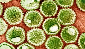Hsl (hue, saturation, lightness) and hsv (hue, saturation, value, also known as hsb or hue, saturation, brightness) are alternative representations of the rgb color model. Herpes Simplex Virus Master Of Disguise And Invisibility Microbiology Society