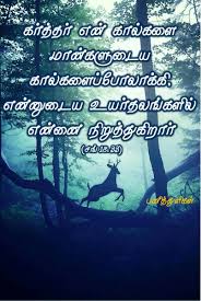 Pin By Rehoboth On பன த த ள கள Tamil Bible Verse Bible Words Christian Verses Bible Promises