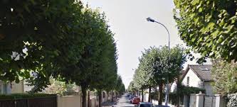 Joinville Le Pont En Passe De Souffler Le Quartier De Polangis A Champigny Sur Marne 94 Citoyens