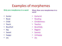 Teaching morphemes unlocks the structures and meanings within words. Ppt Morphemes Powerpoint Presentation Free Download Id 2097248