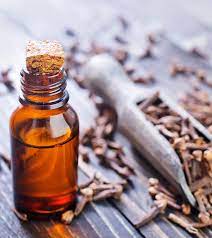 Lawang sewu commands a grand corner position overlooking a major roundabout that harbours tugu muda park. What Are The Health Benefits And Uses Of Clove Oil