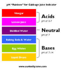 Red Cabbage Indicator Color Chart Www Bedowntowndaytona Com