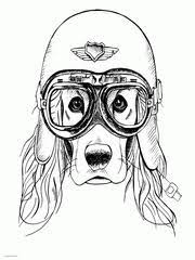 We did not find results for: 100 Animal Coloring Pages For Adults Difficult