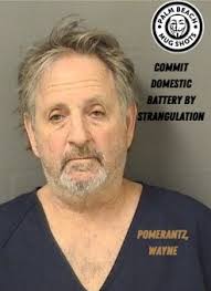 Palm Beach Mug Shots