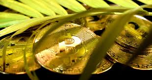 Does the bitcoin profit software have a high success rate? Elon Musk Says This Is How Bitcoin Energy Consumption Concerns Can Be Easily Resolved Tesla Motors Tsla Benzinga