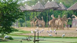 Safari World & Marine Park Tour ...