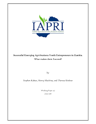 Pdf Successful Emerging Agri Business Youth Entrepreneurs In Zambia What Makes Them Succeed Successful Emerging Agri Business Youth Entrepreneurs In Zambia What Makes Them Succeed