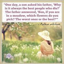  Gone Too Soon Rip Quotes On Picterest Grief Quotes Inspirational Quotes For Daughters First Love Quotes