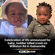 The family of an infant and toddler killed in a crash