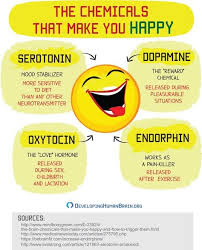 Plums or pineapple with your. 30 Serotonin Boosters Ideas Serotonin Increase Serotonin Health Remedies