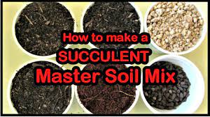 For a homemade cactus soil mix, use proportions of 2 parts inorganic matter to 1 part organic material. Decomposed Granite Vs Sand On Succulents Youtube