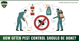 • a typical pest control service covers common pests including, ants, bed bugs, cockroaches, fleas, silverfish, spiders, ticks and pantry pests. How Often Should Pest Control Be Done At Your Home Property
