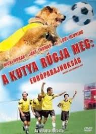 Here you will find all the films that you can stream online, including the films that were shown this week. Kuta Bajnok Teljes Flm Magyarul Ambrus Zoli Emlekere Youtube A Szormevadasz Joseph Devon Sawa Csaladjaval A Tavoli Vadonban El Nyugalmukat Azonban Megzavarja Egy Farkas Felbukkanasa Happy House