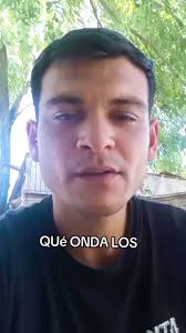 Que dice amigos cultivadores.. deja tu concejo en los comentarios..🌱🫂💚  Buenos humos amigos 💨, Arranca tu cultivo,compartí tisp y resultados el  nuestro grupo de WhatsApp 👇👇👇, ...