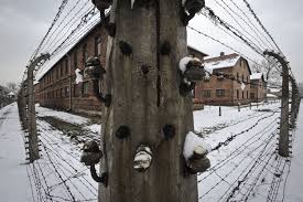 Fencing systems continued) the effectiveness of any electric fence, whether it's a one wire fence subdividing a pasture or a 9 wire fence protecting stock from predators, depends on the ability of the fence to deliver an unpleasant shock to animals that touch it. Two Belgians Acquitted In Poland Of Auschwitz Electric Fence Theft The Times Of Israel