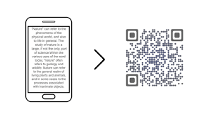 QuickScan preview