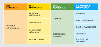 Emotional Intelligence Domains And Competencies Emotional Intelligence Emotions Emotional Awareness