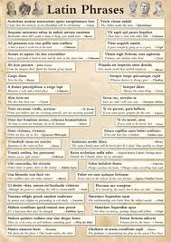 Quotes For Tattoo In Latin In 2020 Latin Phrase Tattoos Latin Phrases Phrase Tattoos