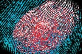 They offer flexibility and are a great choice for parents. The 20 Best Online Schools For Bachelor S In Forensic Science For 2021