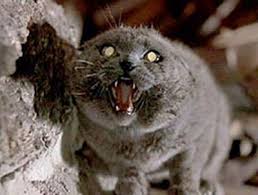 Pet Sematary Church Kinda Reminds Me Of Edgar Allan Poes The Black Cat Pet Sematary Scary Movies Creepy Horror
