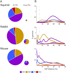 7.1 3b proportional relationship word problem / free worksheets for ratio word problems : The Piwi Pirna Response Is Relaxed In A Rodent That Lacks Mobilizing Transposable Elements Biorxiv
