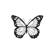 Download these small butterflies coloring pages by clicking on the links or the pictures. 1
