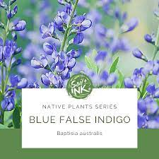 Pin On Native Plants