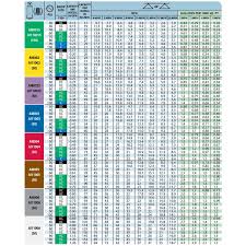 Teejet Air Induction Dual Pattern Ss Flat Spray Tip Blue Ai8003 Vs