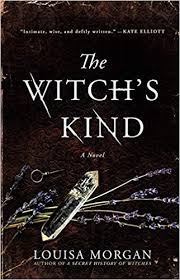 Amazon Com The Witch S Kind A Novel 9780316419468 Louisa Morgan Books In 2020 Novels Books Book Lists
