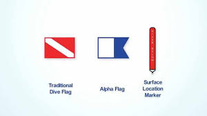 What Is The Meaning Of Diving Flags Rateyourdive Com