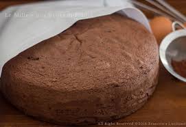 Pan Di Spagna Al Cacao Pan Di Spagna Al Cioccolato Idee Alimentari Ricette