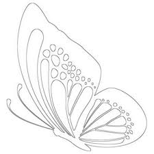 When autocomplete results are available use up and down arrows to review and enter to select. Butterfly Coloring Pages Beautiful Butterflies To Color