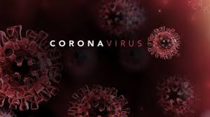 No matter what size the spider, they often cause uncomfortable and. Corona Virus Sanitation Services Verikill Pest Control Inc