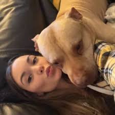 Fahrenheit 451 part 3 review, comma review, and passive vs active review.  Flashcards