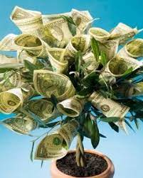 Money Tree Gift Ideas Money Gift Money Trees Tree Gift