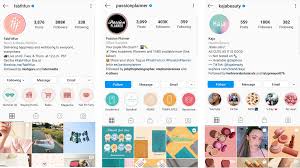 Any ideas for a good instagram bio? 10 Amazing Ecommerce Instagram Accounts And Examples We Learned From