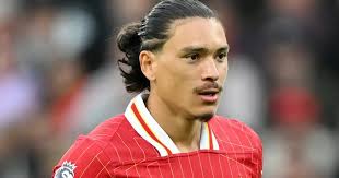 Biography of Darwin Nunez: path to fame, accolades and professional career