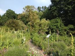 Sehenswerte Parks Und Garten In Franken Staudenfreunde