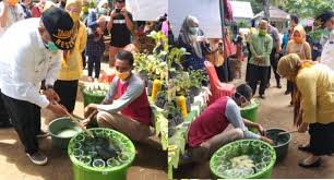Berkebun sayur di lahan minimalis secara efektif dan efisien. Covid 19 Gubernur Gorontalo Ajak Warga Memanfaatkan Pekarangan Rumah Dalam Berkebun Gosulut Id