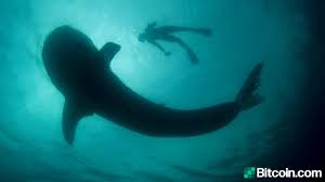 Each bitcoin is equal to 100 million satoshis, but how much is a satoshi worth at current prices? Old School Bitcoin Whales Are Moving This Week A Single Entity Transferred 10 000 Btc Acquired In 2013 Featured Bitcoin News
